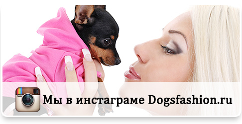 Наш инстаграм Наш инстаграм