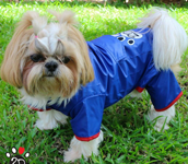 Дождевики для собак Дождевики для собак