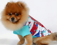 Футболки для собак Футболки для собак