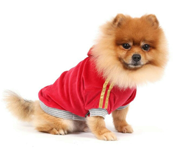 Толстовки для собак Толстовки для собак