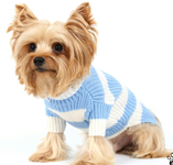 Свитер для собаки Свитер для собаки
