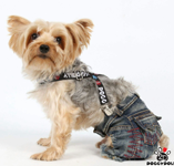 Джинсы для собак Джинсы для собак